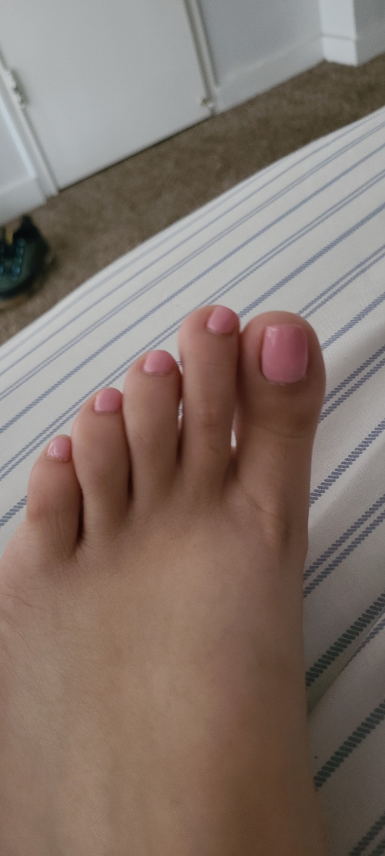 Bonita Amor banner image