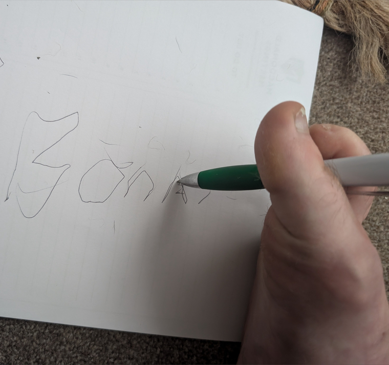 Bonn Feet banner image