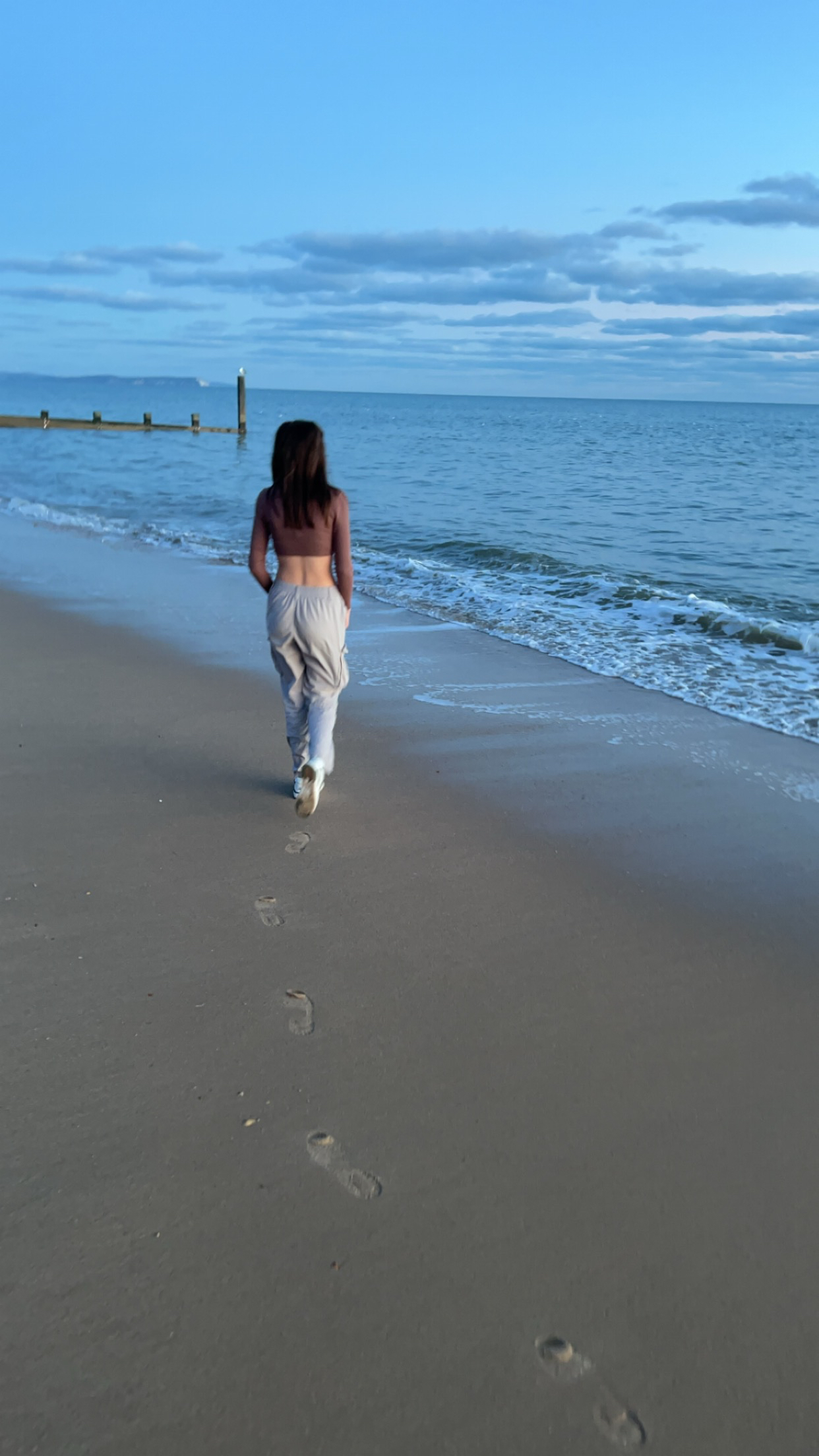 Bonnie Rose banner image