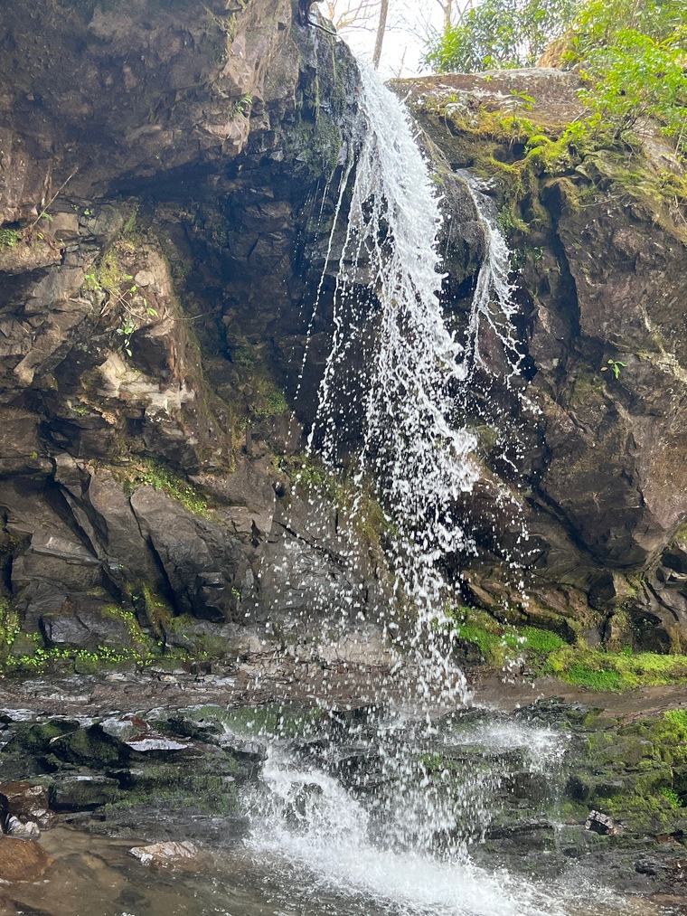 Brailey banner image