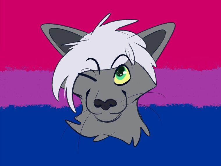 BooBooKittyCD cover image