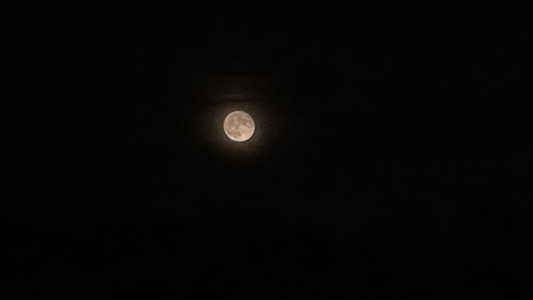 Booga Suuga banner image