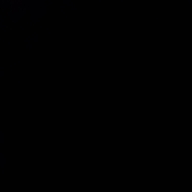 Bookie Bear π» banner image