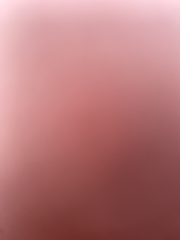 Booty1011 cover image