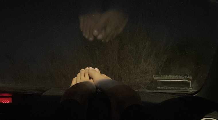 bootyholesandtoes cover image