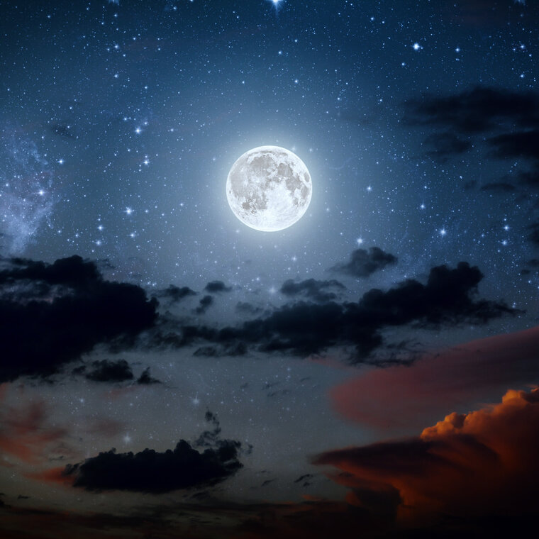Booty Moon Girl banner image
