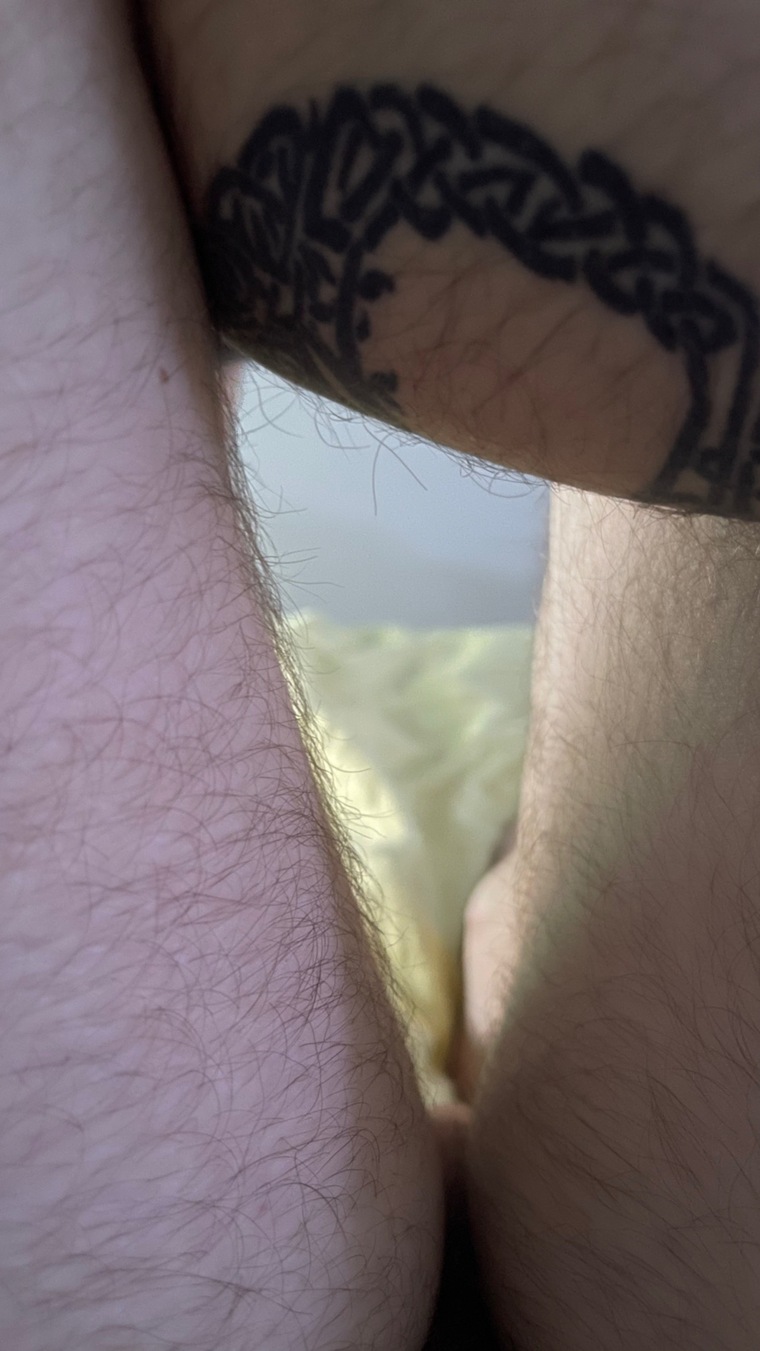 capybara cover image