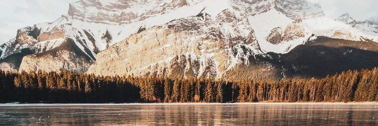 Andrew Cox cover image