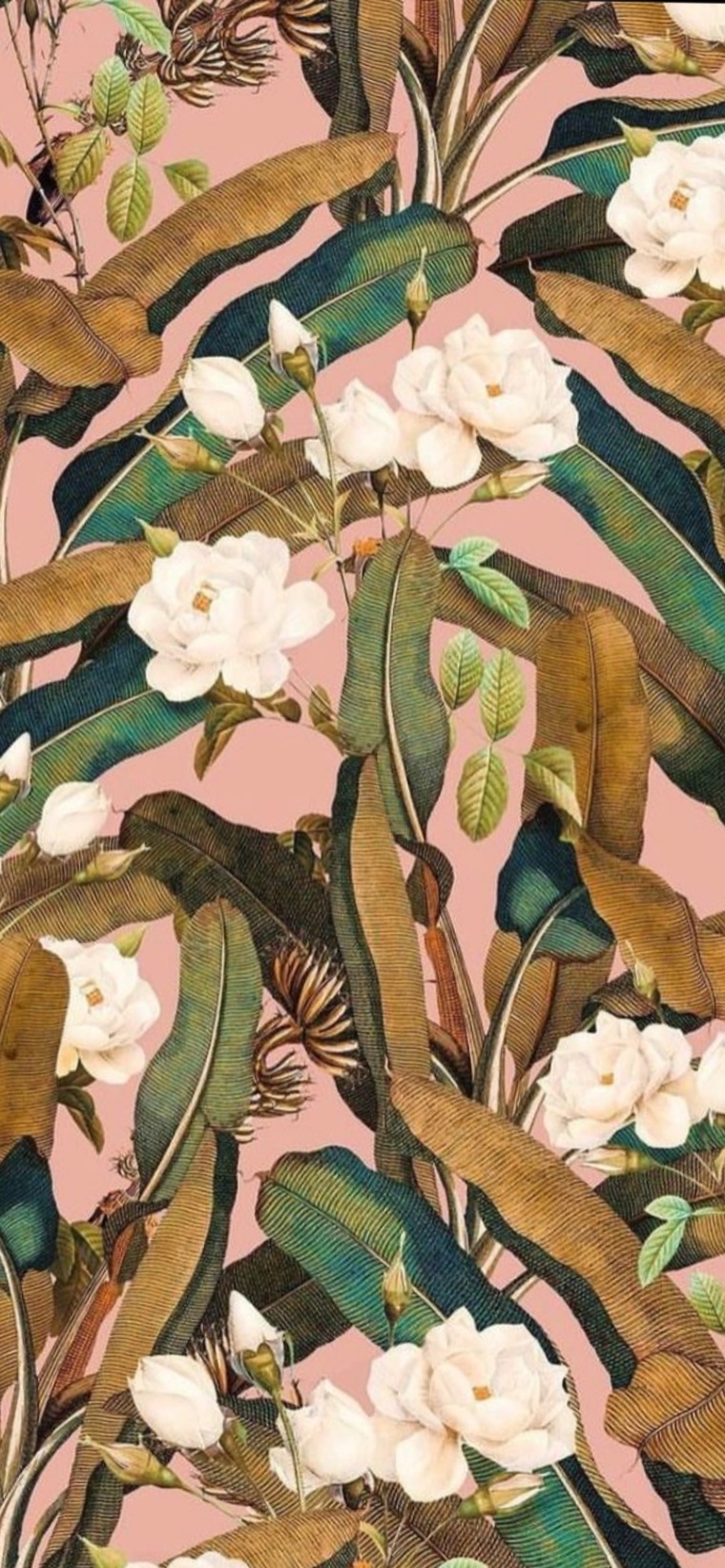 Alex cover image