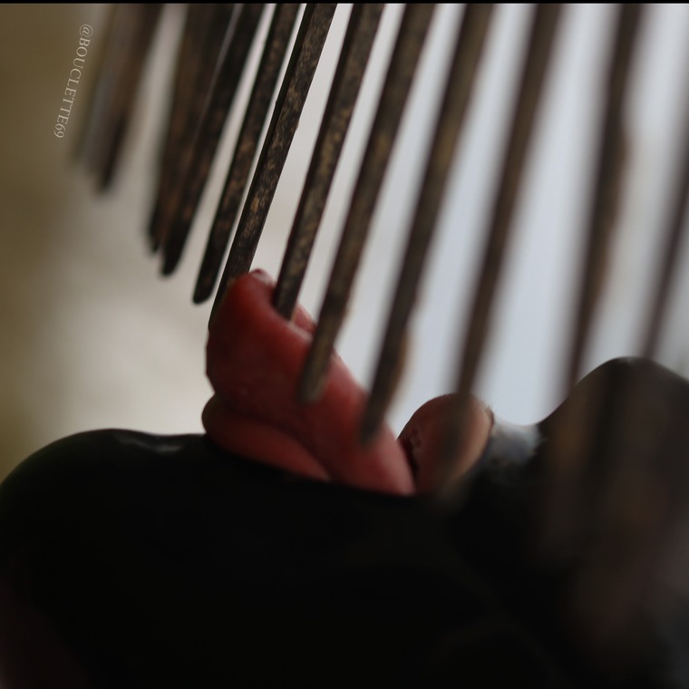 Bouclette banner image