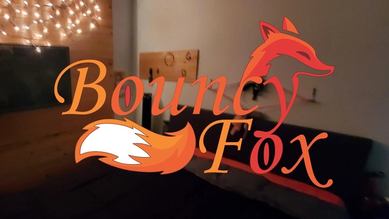 Bouncy fox cover image