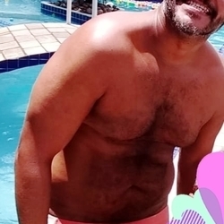 Brazilian Bearback Bear avatar