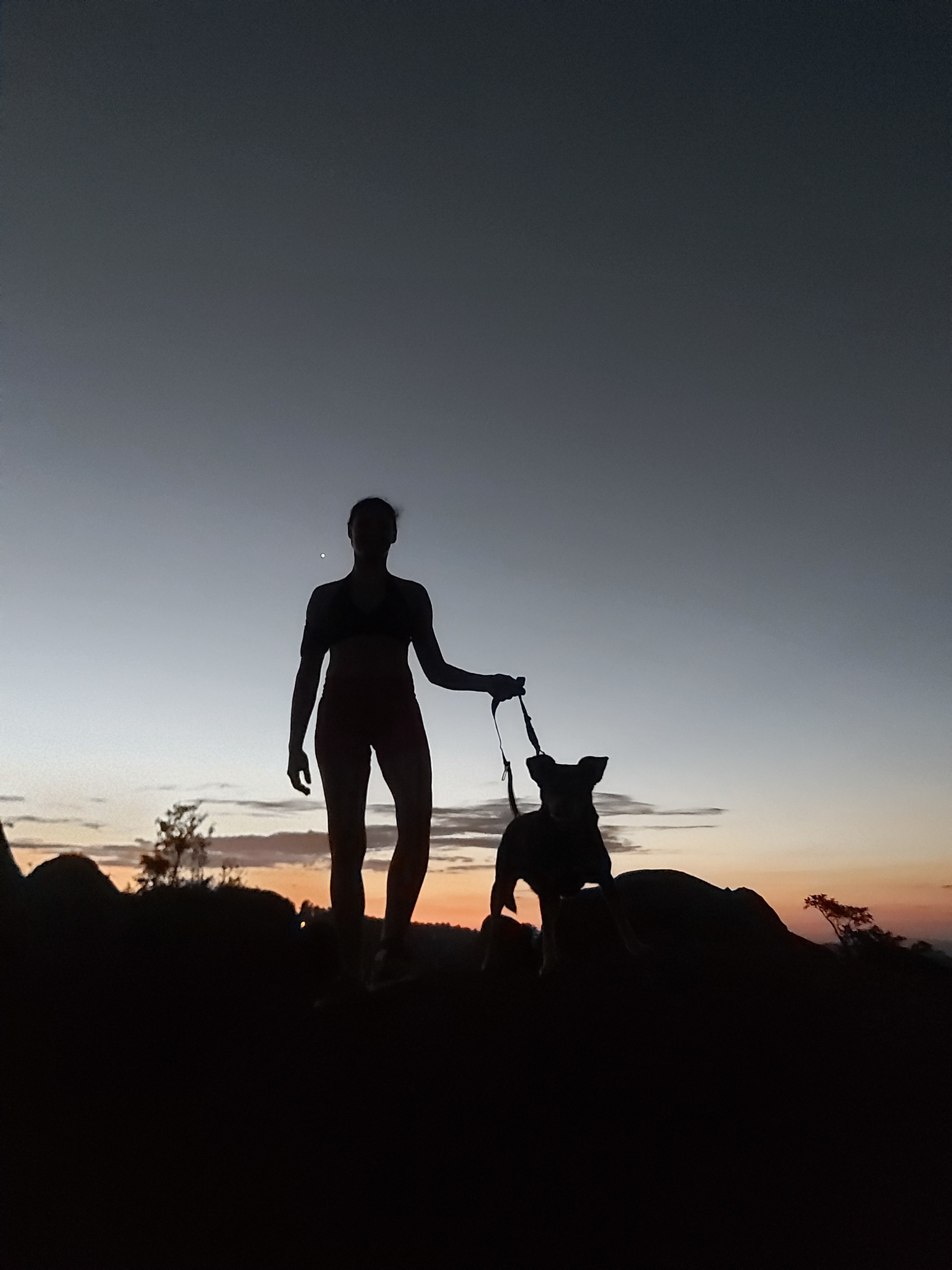 Brazilian Couple banner image