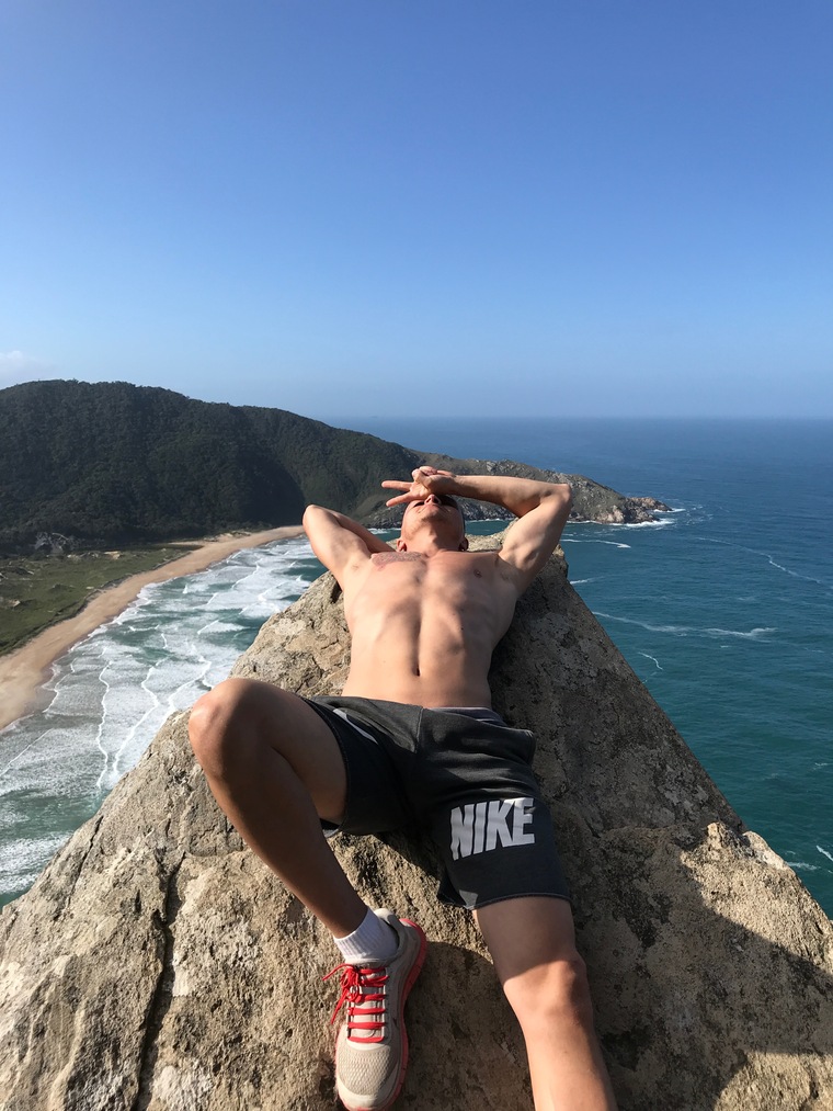 Brazilian Vegan banner image