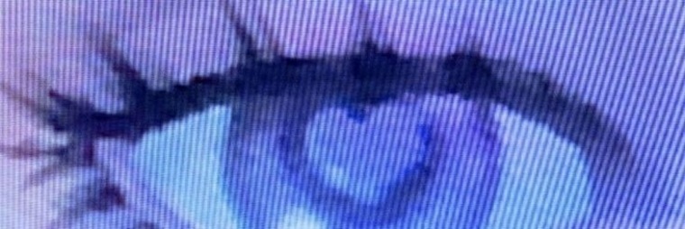 b banner image
