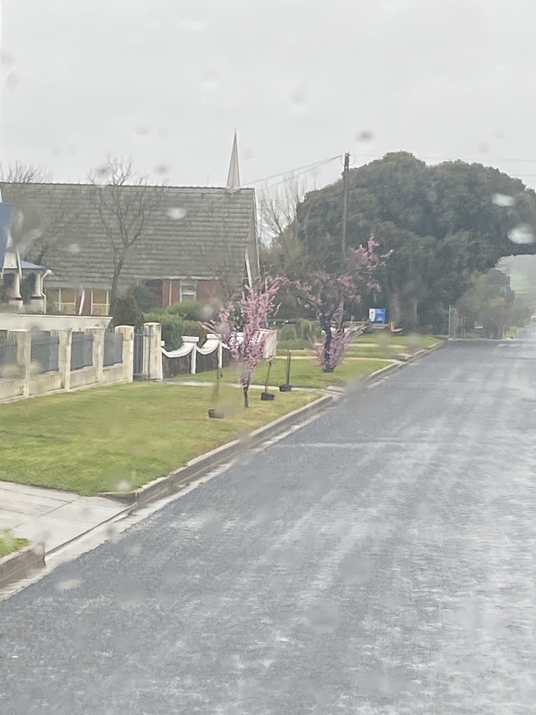 Bree6293 banner image