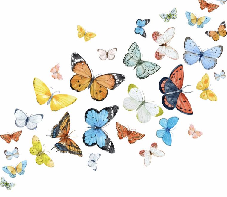 Briana banner image