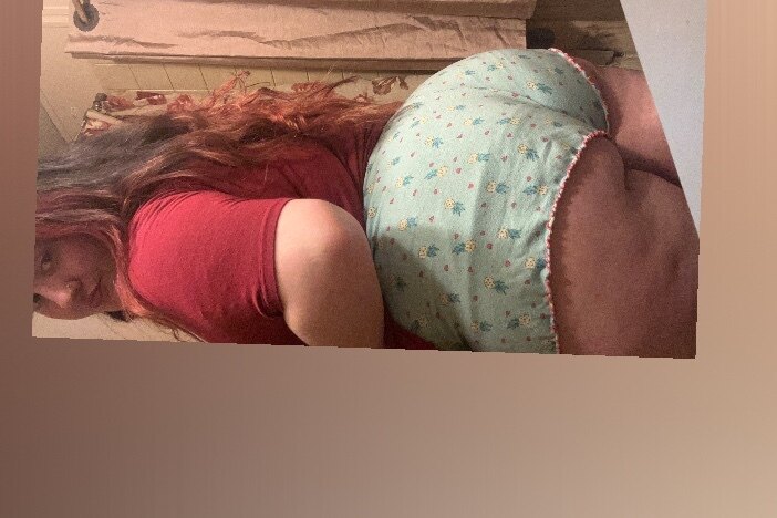 Lil baby kitty banner image
