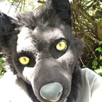 Gibbs The Wolf avatar