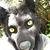 Gibbs The Wolf avatar