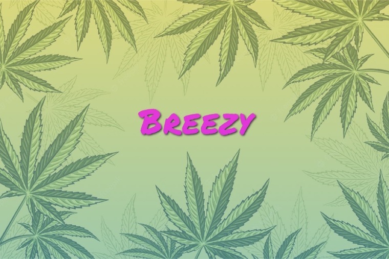 Breezy1600 cover image