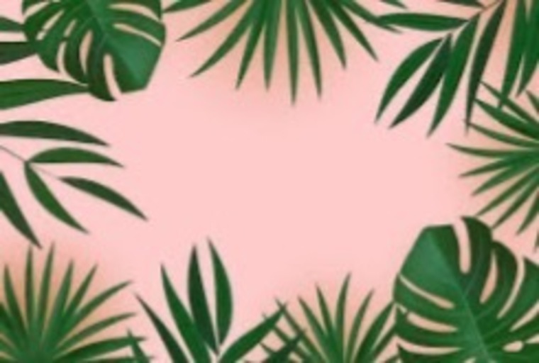 🌸Bri cover image