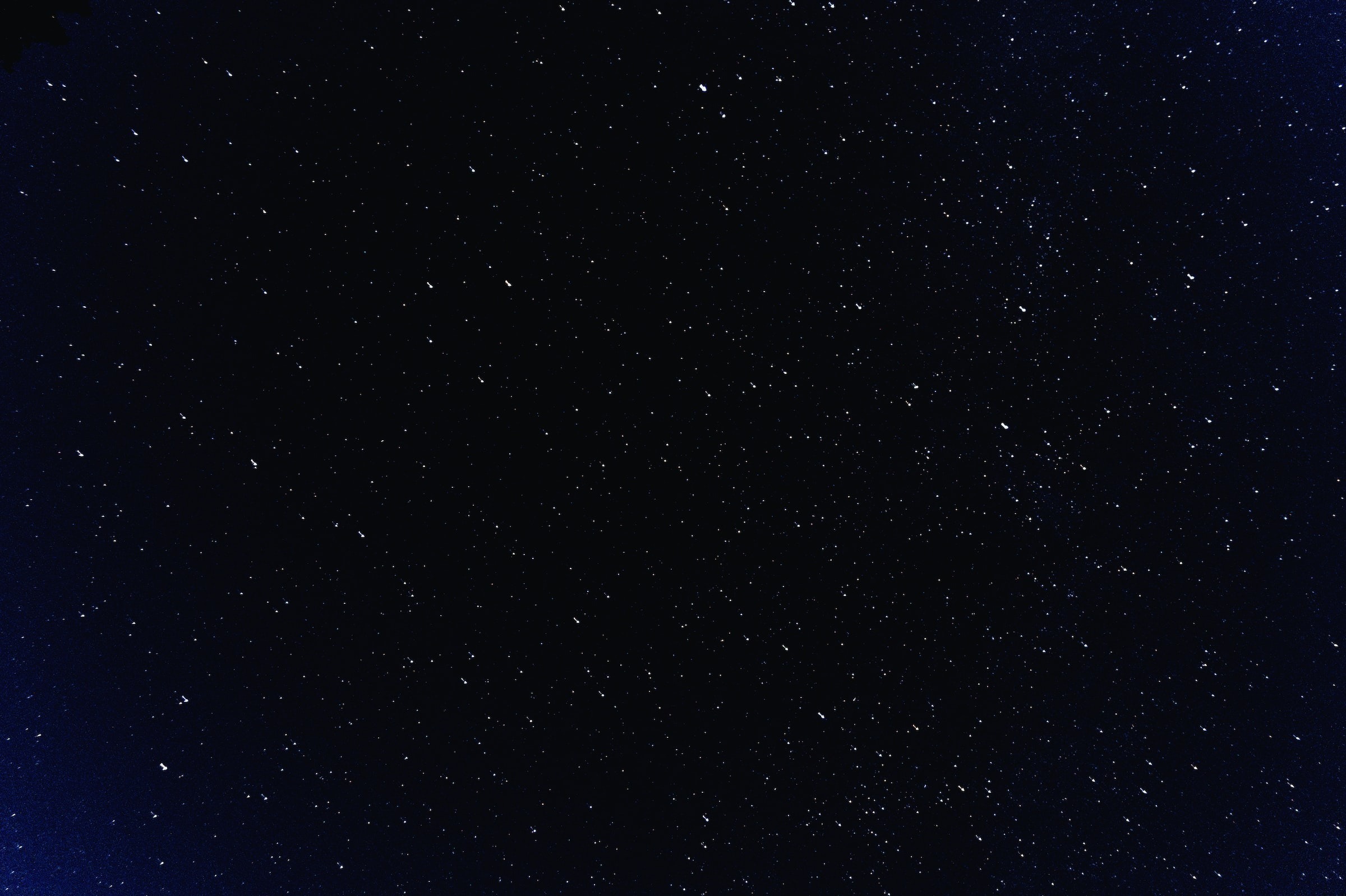 MAGGIEBRICE banner image