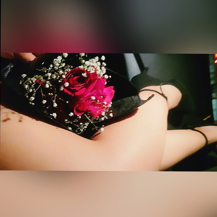 Brika Delmar🌹 cover image