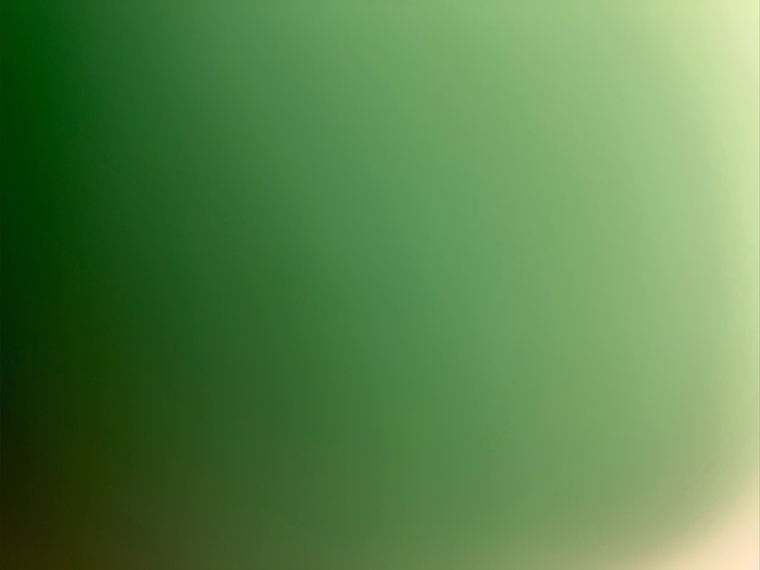 Britni_Bridges_441 banner image