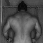British Muscle Bear avatar