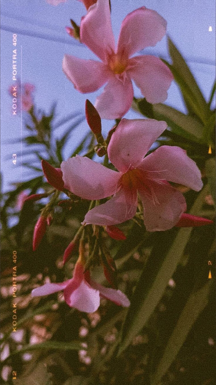 Goddess Britttz Xo cover image