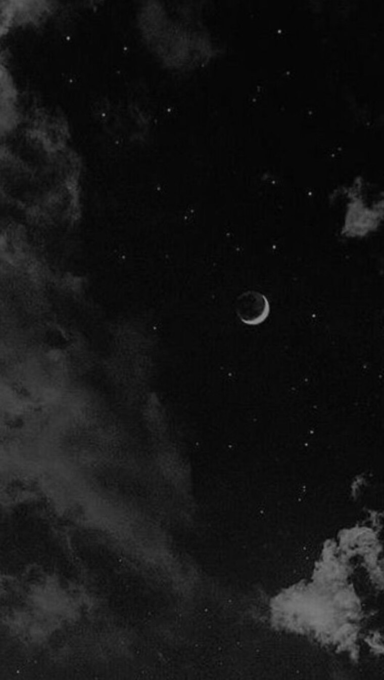T banner image