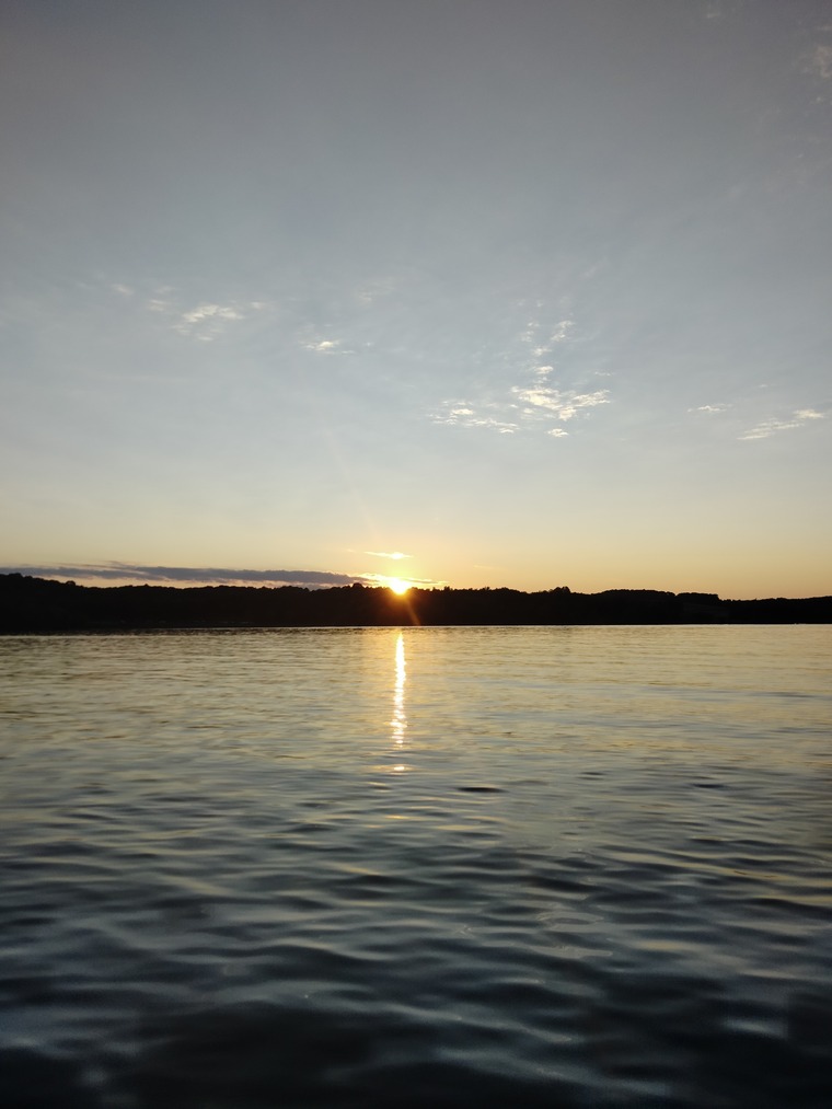 Shaye D. banner image