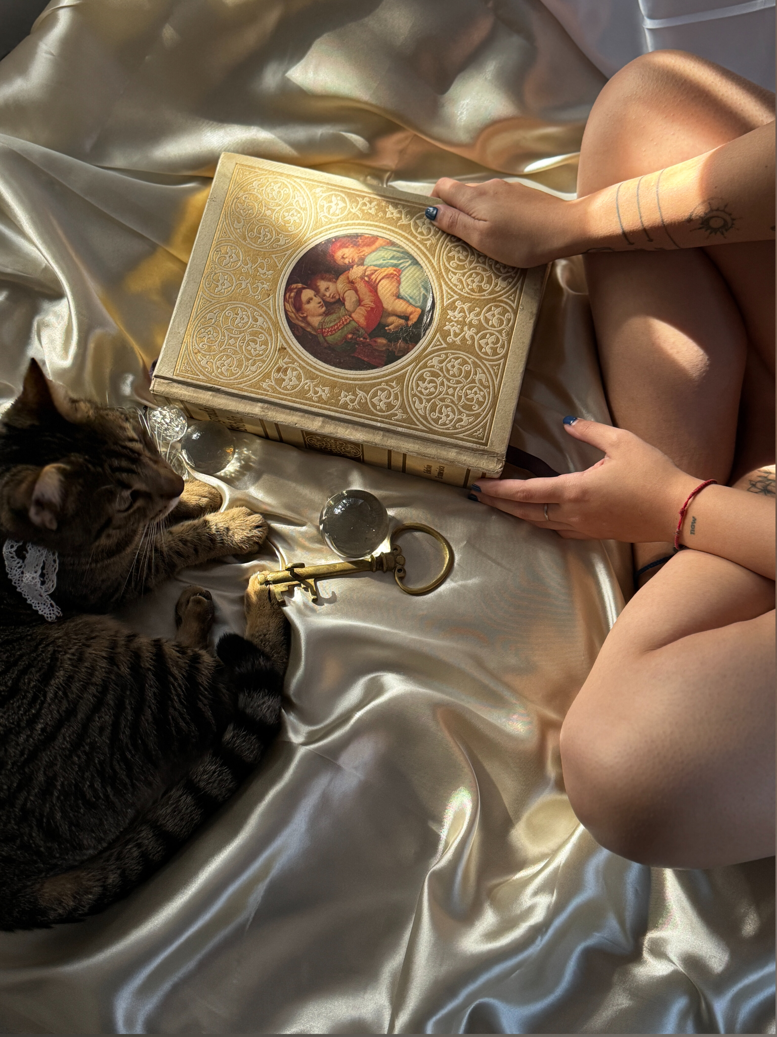 Brooke banner image