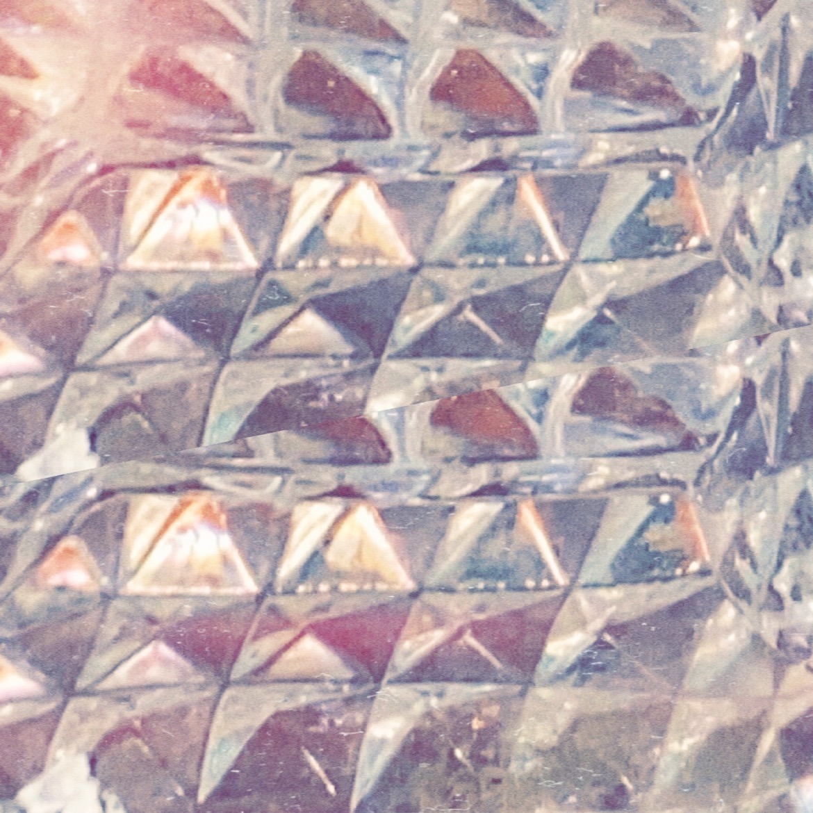 Brooke Schaefer banner image