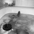 BrooklynBlaxxx avatar