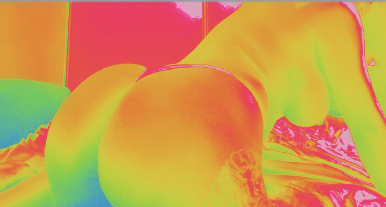 Brooklyn D cover image