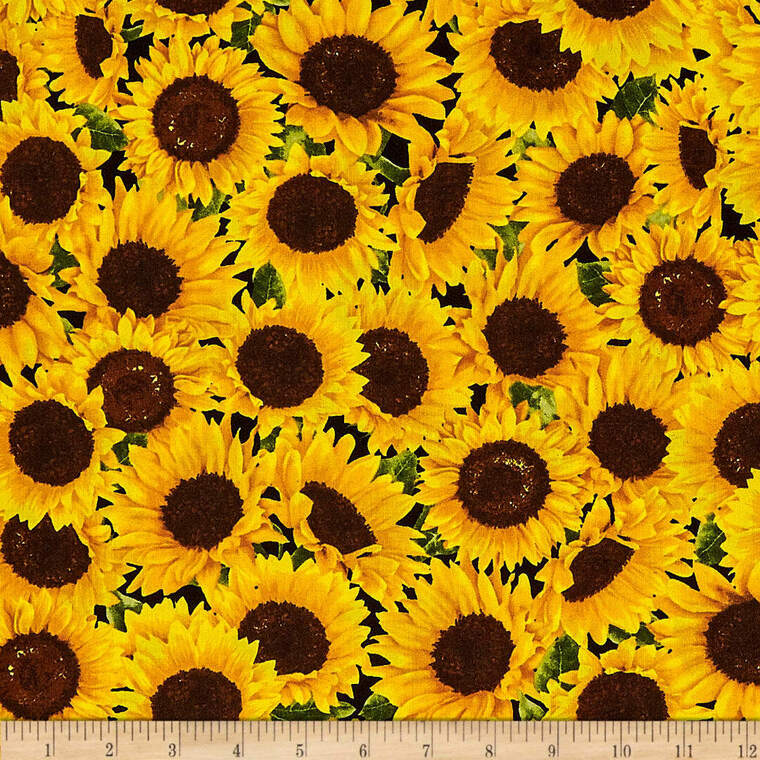 Brooklyn Nicole banner image