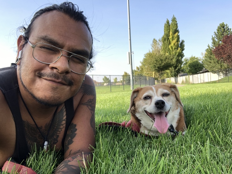 Browncub cover image