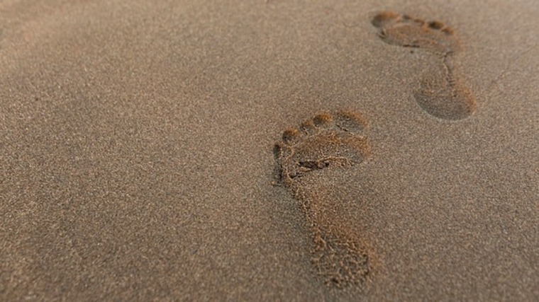 Sweet Feet cover image
