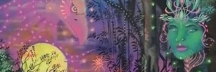 Bruja cover image