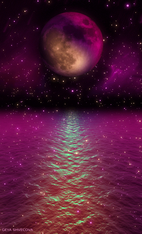 Jessy banner image