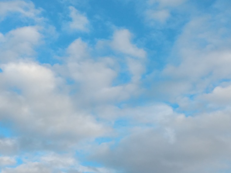 Brunette banner image
