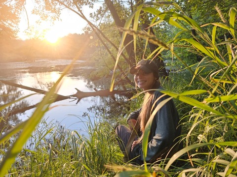 Bambie cover image