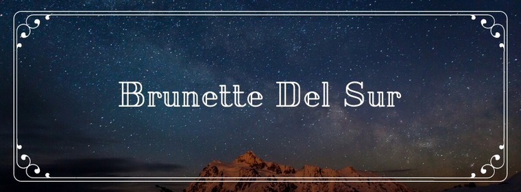 brunettedelsur cover image