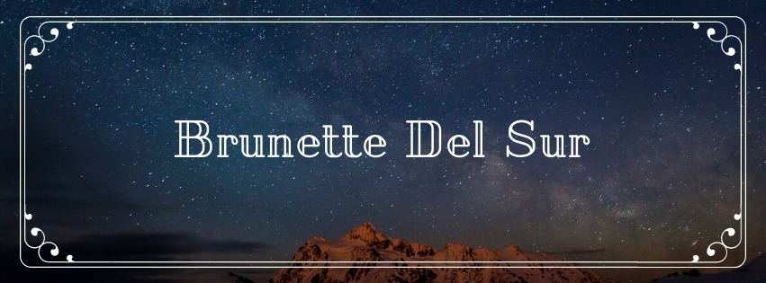 brunettedelsur banner image