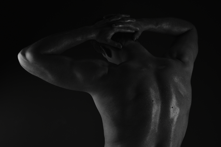 Bruno_model cover image
