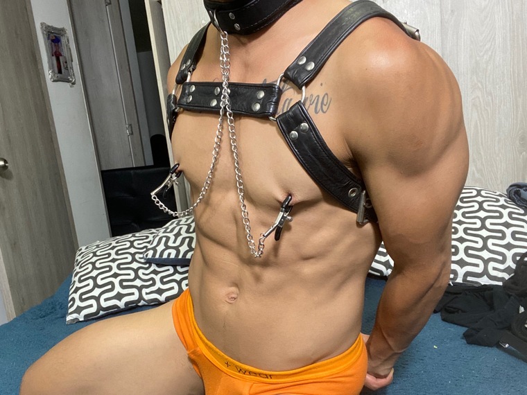 Brunocuttie94 banner image