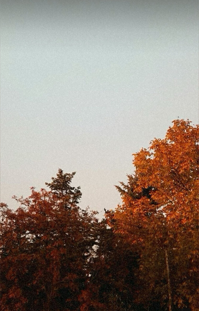 Just a couple B&amp;S cover image