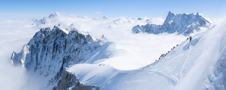 BTBF cover image
